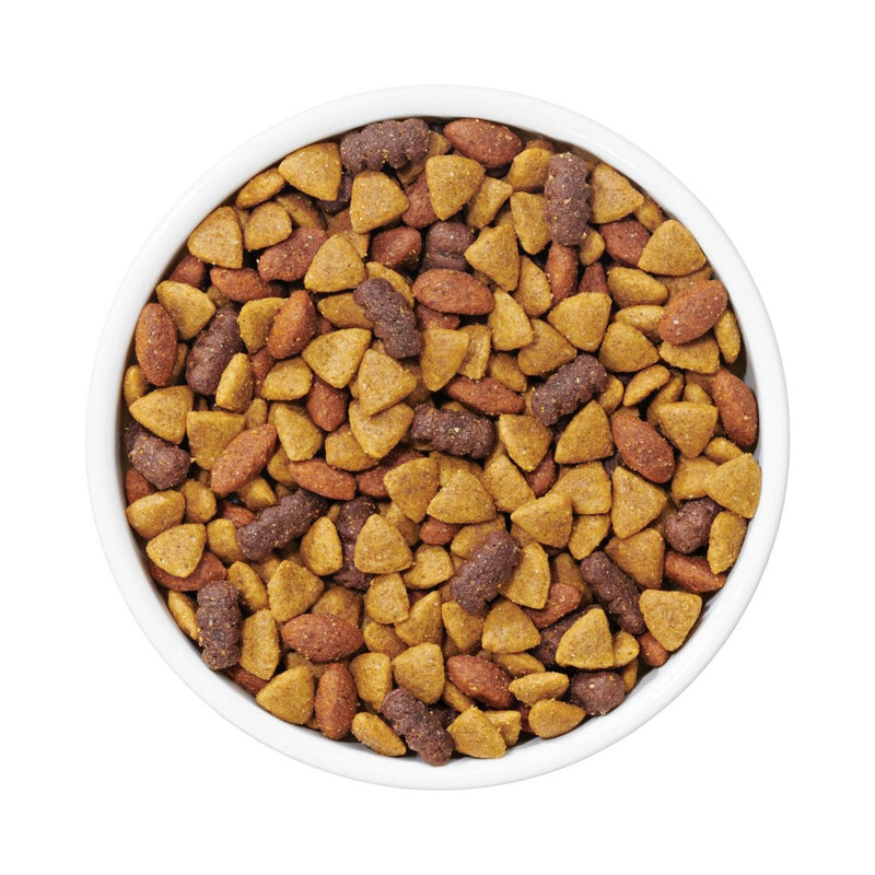 Purina Dog Chow with Real Beef Adult Complete & Balanced Dry Dog Food - 18.5lbs (LOCAL PICKUP ONLY)