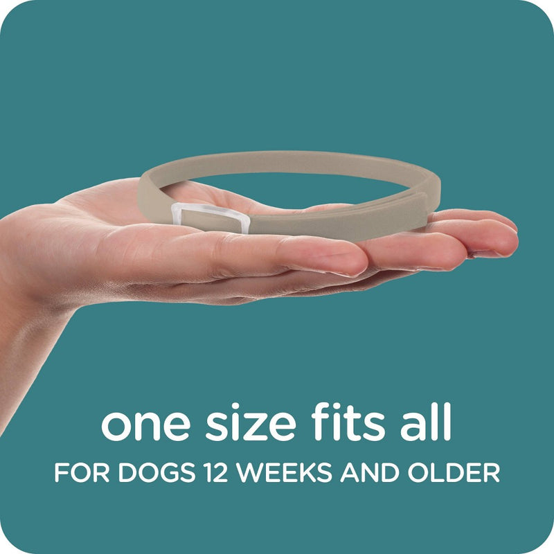 Sergeant's Guardian Pro Flea & Tick Treatment Collar for Dogs