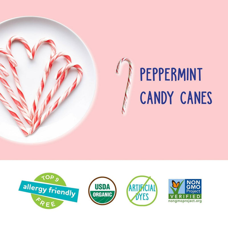 Yum Earth Christmas Candy Canes - 4.94oz/10ct
