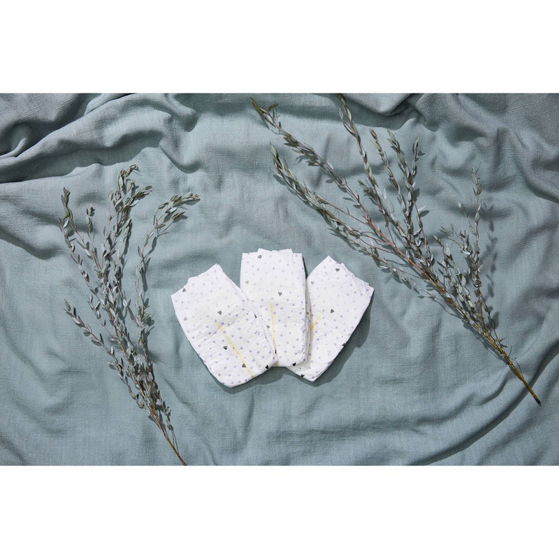 The Honest Company Clean Conscious Disposable Diapers Young At Heart & Rose Blossom - Size 2 - 72ct