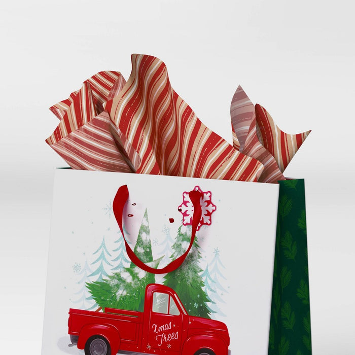 30ct Banded Christmas Gift Tissue Paper White/Striped/Green - Wondershop