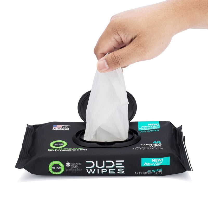 Dude Wipes Mint Chill Flushable Personal Wipes - 48ct