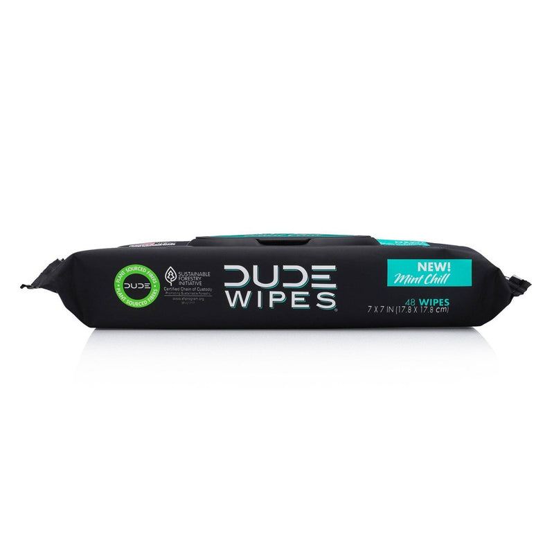 Dude Wipes Mint Chill Flushable Personal Wipes - 48ct