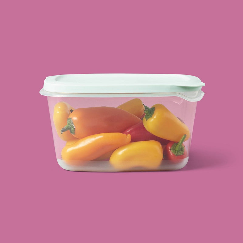 Snap & Store Rectangle Food Storage Containers - 48 fl oz/2ct - up&up