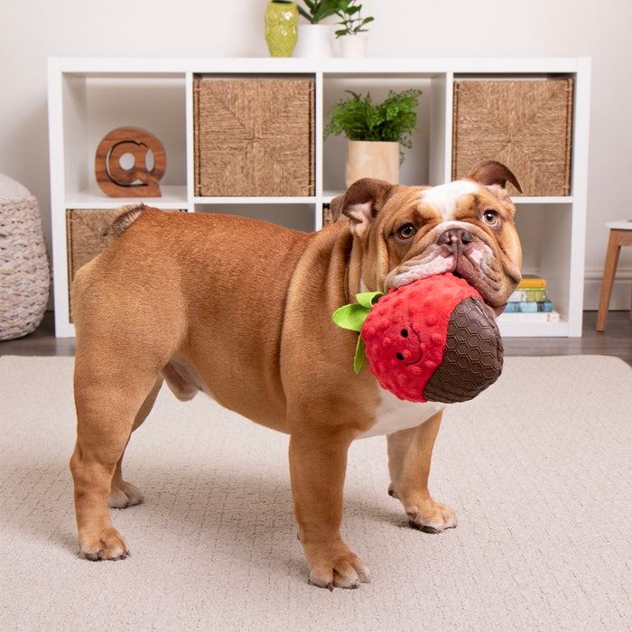 TrustyPup Cocoa Berry with Chew Guard Dog Toy