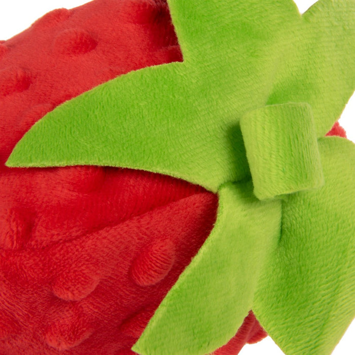 TrustyPup Cocoa Berry with Chew Guard Dog Toy