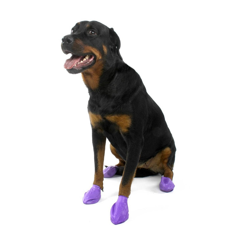 Pawz 12pc Rubber Dog Boots - L