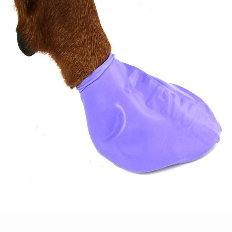 Pawz 12pc Rubber Dog Boots - L