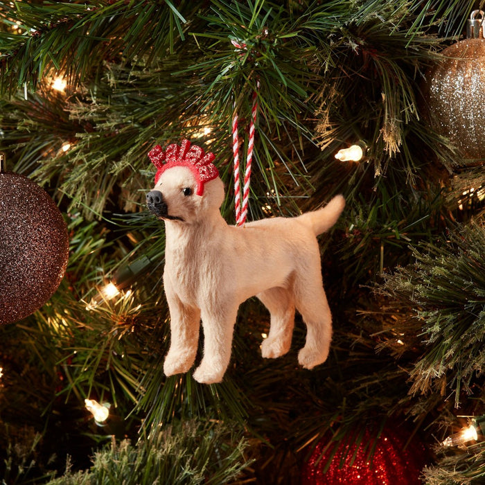 Fabric Golden Retriever with 'Fa La La' Glasses Christmas Tree Ornament - Wondershop