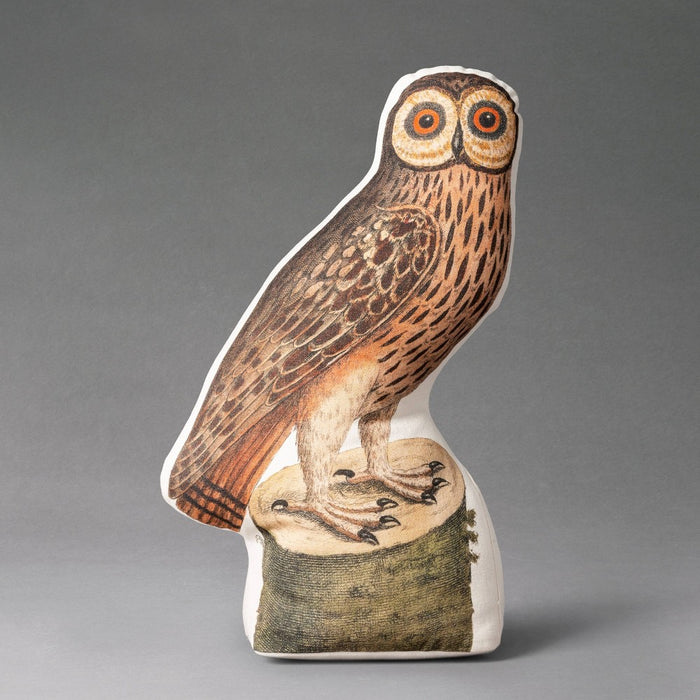 16"x8" Barn Owl Novelty Plush Pillow - John Derian For Target