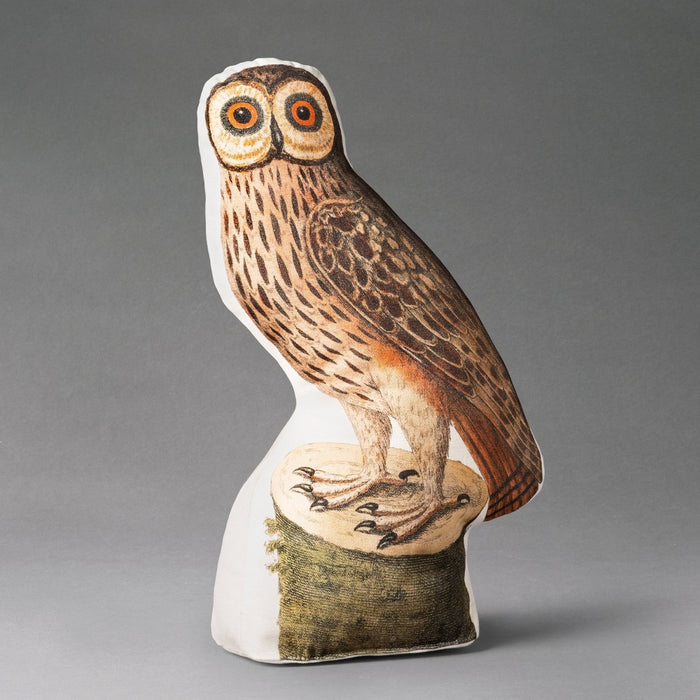 16"x8" Barn Owl Novelty Plush Pillow - John Derian For Target