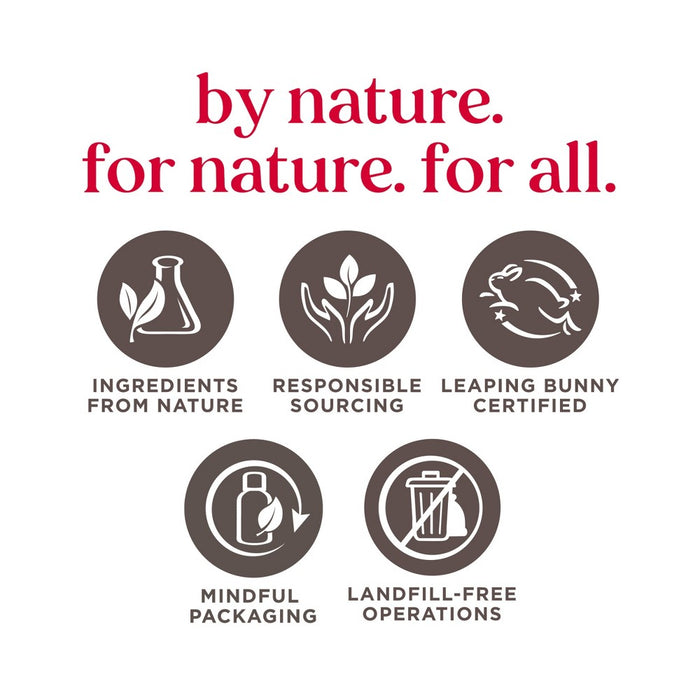 Burt's Bees Beeswax Lip Balm - 2ct/0.15oz