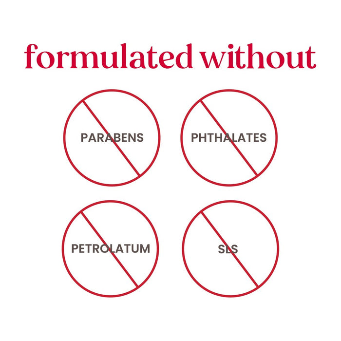 Burt's Bees Beeswax Lip Balm - 2ct/0.15oz