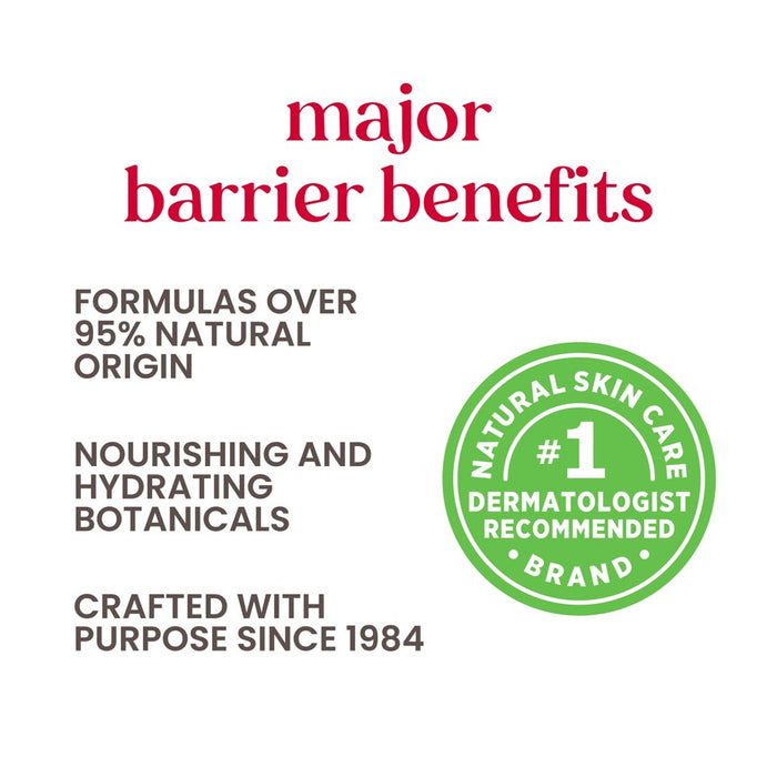 Burt's Bees Beeswax Lip Balm - 2ct/0.15oz