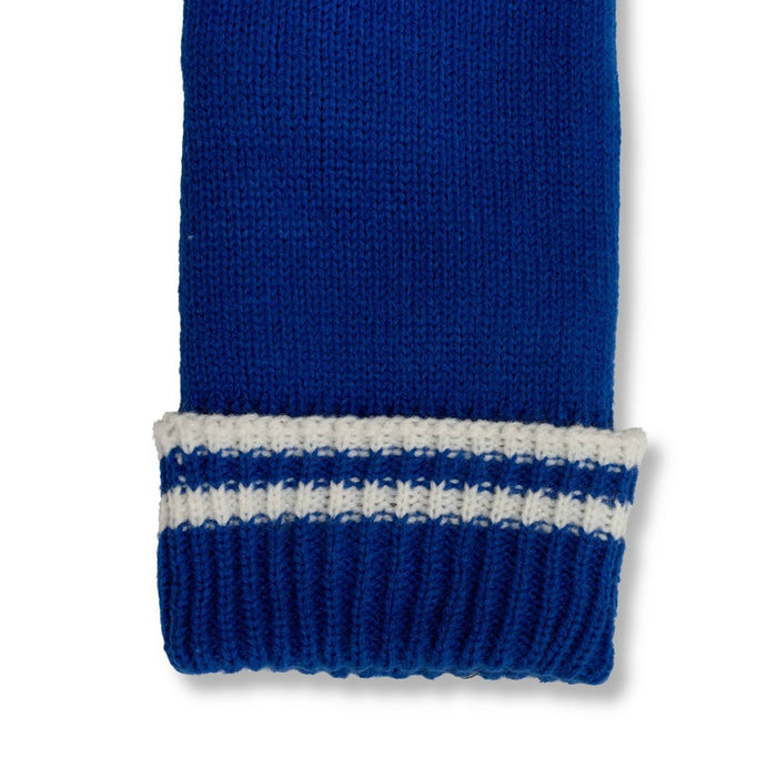 Adult Winter Mittens Blue - Bullseye's Playground
