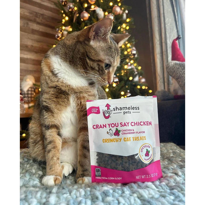 Shameless Pets You Say Chicken & Cranberry Flavor Crunchy Cat Treat - 2.5oz
