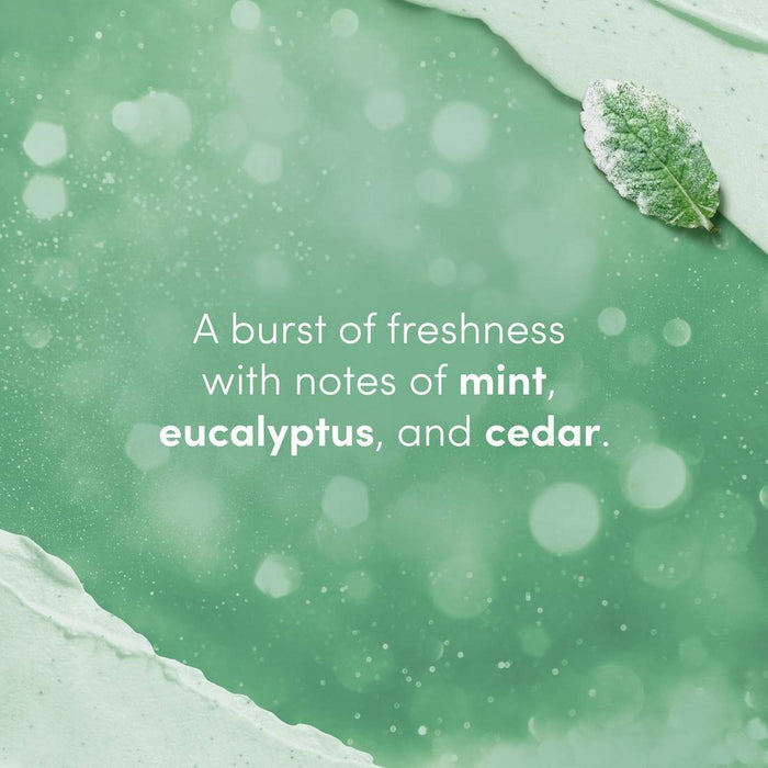 Dove Beauty Mini Body Scrub - Winter Mint - 3.5oz