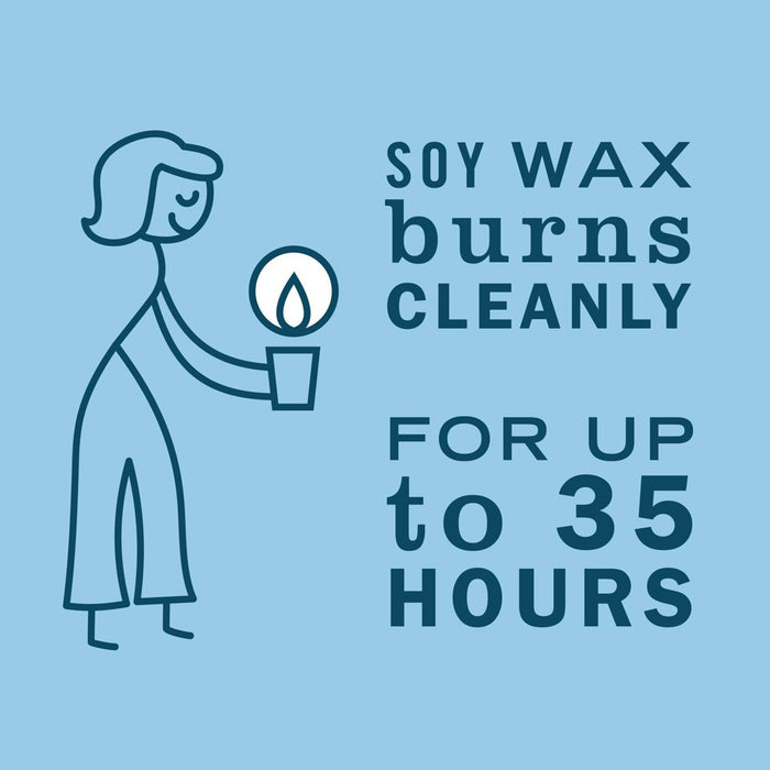 Mrs. Meyer's Clean Day Jar Candle - Rain Water - Large - 7.2oz