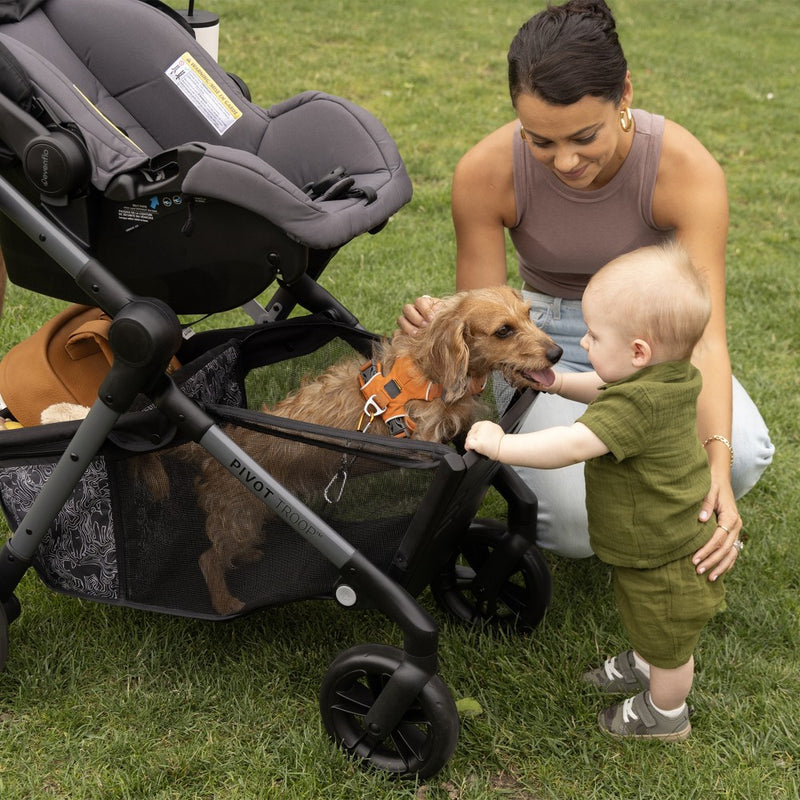 Evenflo Pivot Troop Companion Double Companion Modular Travel System - Rhodesboro Black (LOCAL PICKUP ONLY)