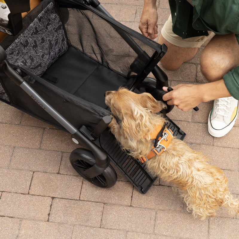 Evenflo Pivot Troop Companion Double Companion Modular Travel System - Rhodesboro Black (LOCAL PICKUP ONLY)