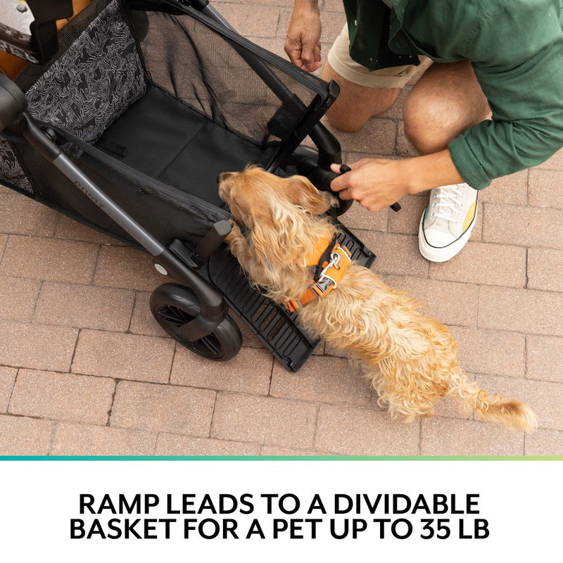 Evenflo Pivot Troop Companion Double Companion Modular Travel System - Rhodesboro Black (LOCAL PICKUP ONLY)