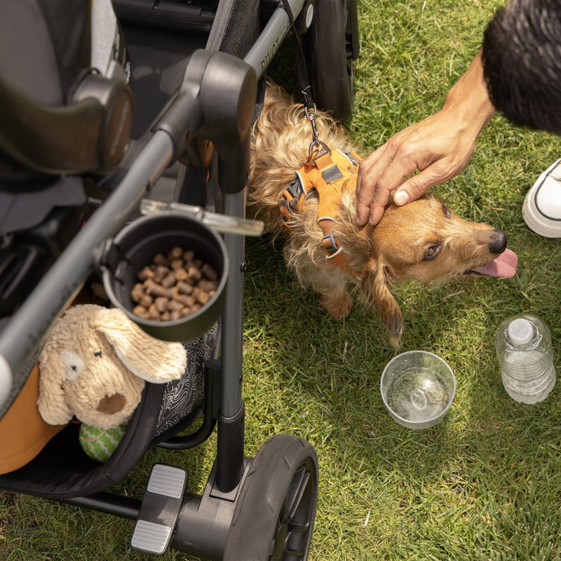 Evenflo Pivot Troop Companion Double Companion Modular Travel System - Rhodesboro Black (LOCAL PICKUP ONLY)