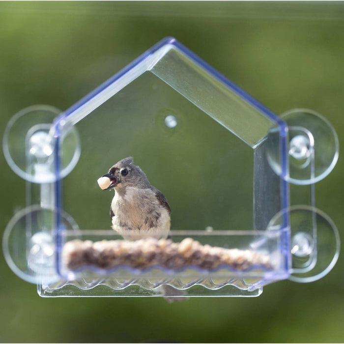 Nature's Way Bird Products 2 Cup Clear View Plastic Window Bird Feeder 6.75": Suction Cup Mount, Shatterproof