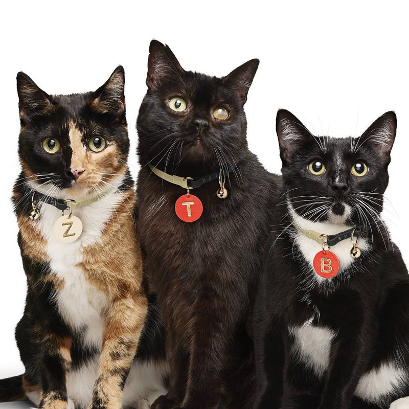 "A" Initial Collar Tag - Peach - The Cuddle Collab