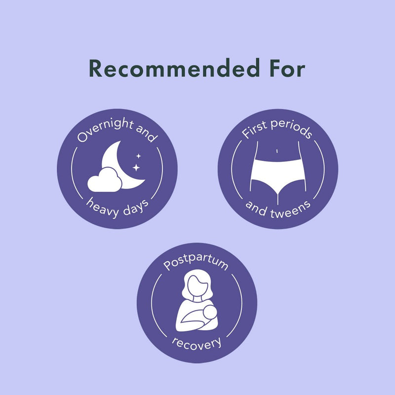 Rael Organic Disposable Period Underwear - L/XL - 5ct