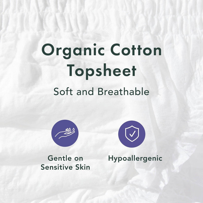 Rael Organic Disposable Period Underwear - L/XL - 5ct