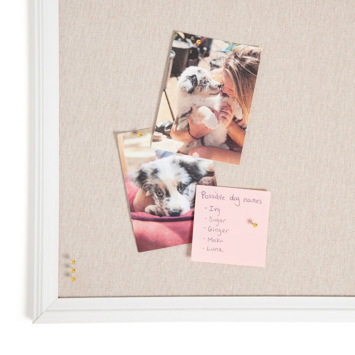 U Brands 100ct Gold Map Push Pins