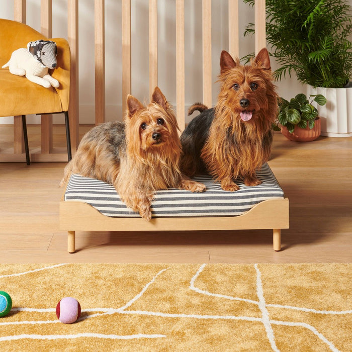 Modern Pet Bed & Frame - The Cuddle Collab - S/M (LOCAL PICKUP ONLY)