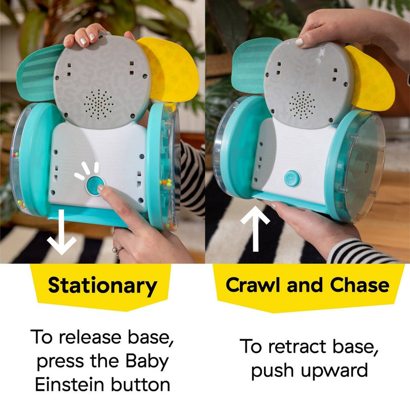 Baby Einstein Chase & Tap Earl Interactive Crawling Toy