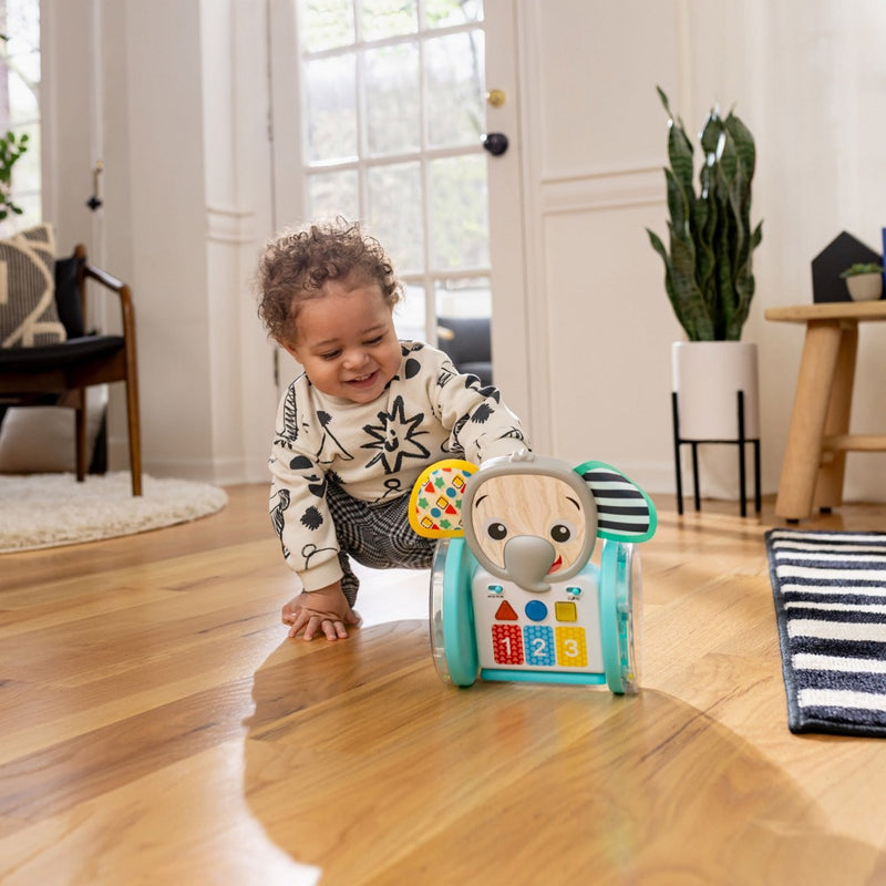 Baby Einstein Chase & Tap Earl Interactive Crawling Toy