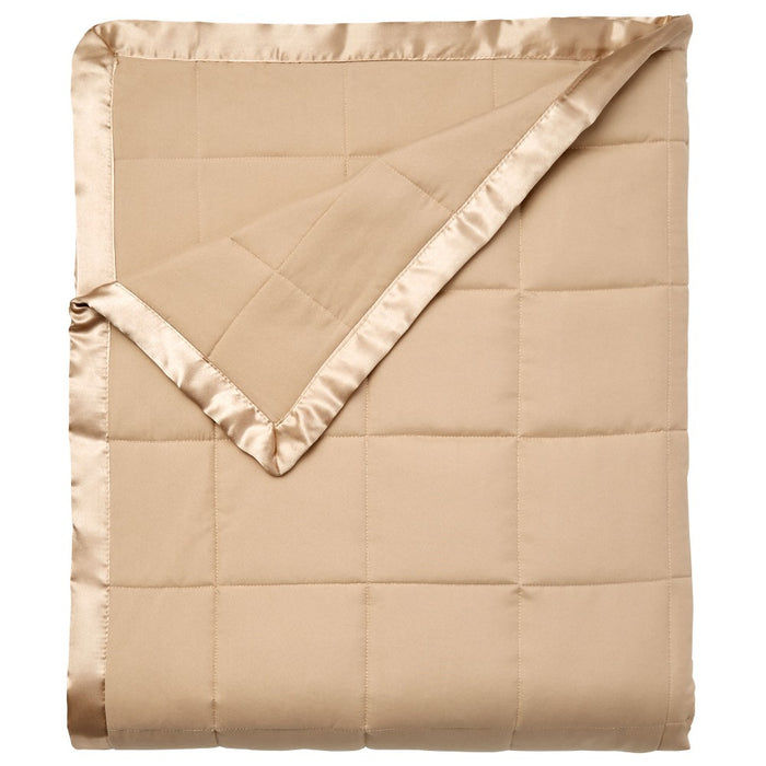 BrylaneHome Down-Alternative Blanket - Full/Queen, Tan