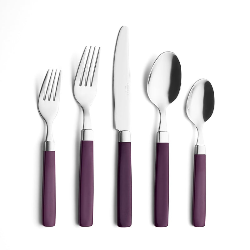 ANNOVA Stainless Steel Flatware/Cutlery Set - Color Handles - Dinner Forks, Salad Forks, Table Knives, Tablespoons, Teaspoons - (Purple, 20 Pieces)