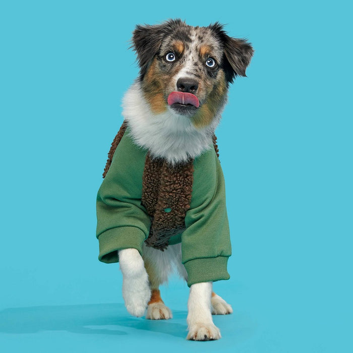 BARK Home Varsity Dog Jacket - Green - S/M