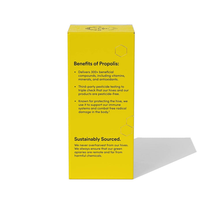 Beekeepers Naturals Nighttime Propolis Cough Syrup - 4 fl oz