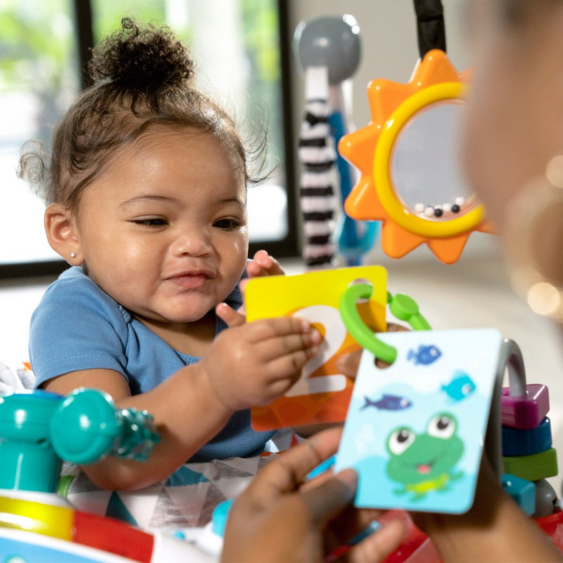 Baby Einstein Ocean Explorers Airplane Adventure 2-in-1 Activity Jumper (LOCAL PICKUP ONLY)