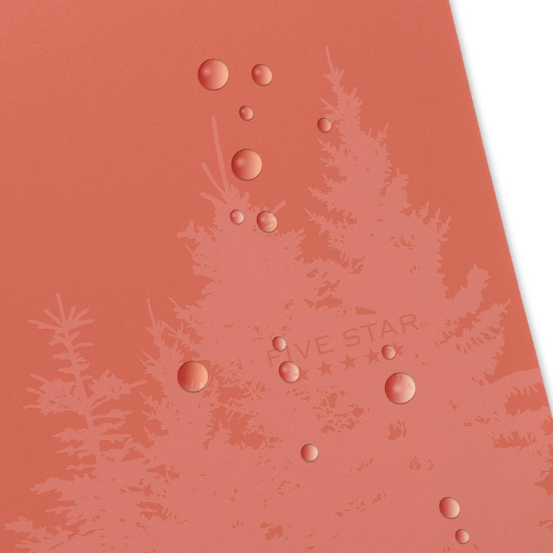 Five Star 2 Pocket Plastic Folder Recycled Plastic Zion Clay: Polypropylene, 3 Hole Punched, 150 Sheet Capacity