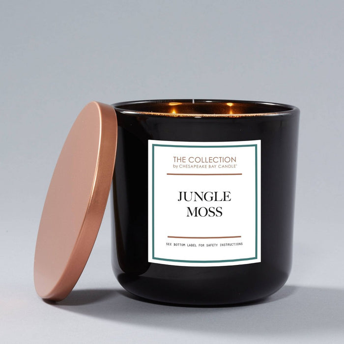 2-Wick Black Glass Jungle Moss Lidded Jar Candle 12oz - The Collection by Chesapeake Bay Candle