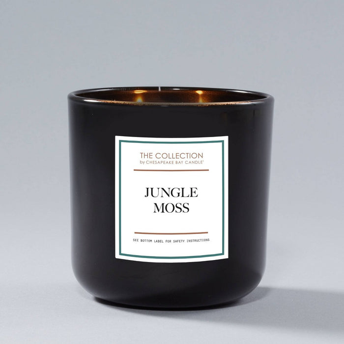2-Wick Black Glass Jungle Moss Lidded Jar Candle 12oz - The Collection by Chesapeake Bay Candle