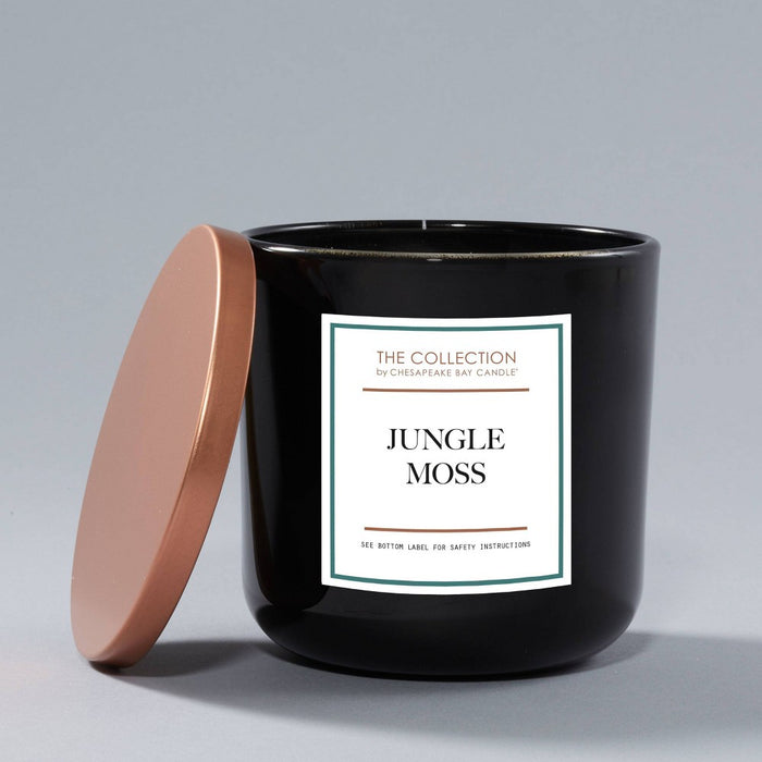 2-Wick Black Glass Jungle Moss Lidded Jar Candle 12oz - The Collection by Chesapeake Bay Candle