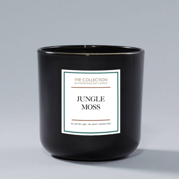 2-Wick Black Glass Jungle Moss Lidded Jar Candle 12oz - The Collection by Chesapeake Bay Candle