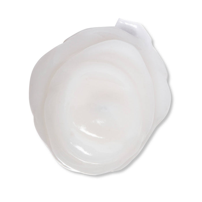 Unscented Daily Moisturizing Hand Lotion - 18 fl oz - up&up