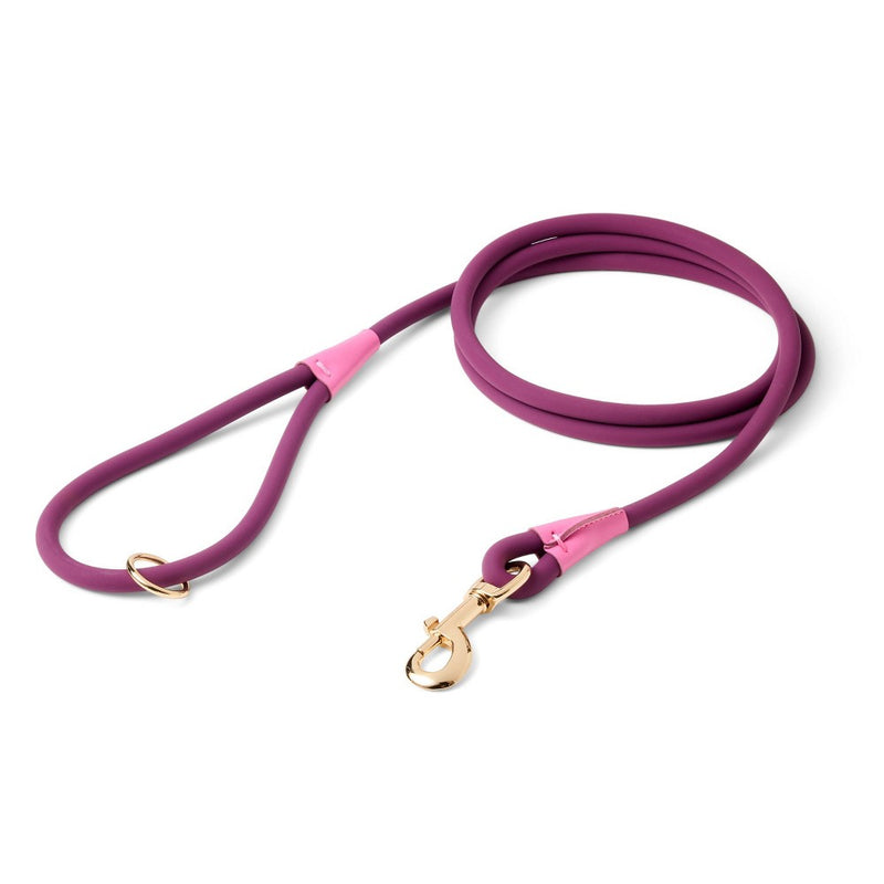 Dog Leash - Pink Tonal - The Cuddle Collab