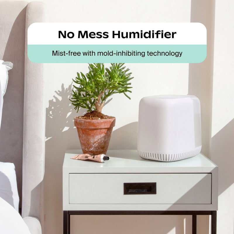 Canopy 4-in-1 Dishwasher Safe and Mold Inhibiting Humidifier - White