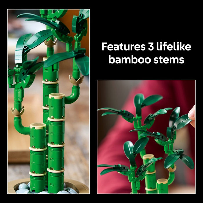 LEGO Botanicals Lucky Bamboo Building Set 10344