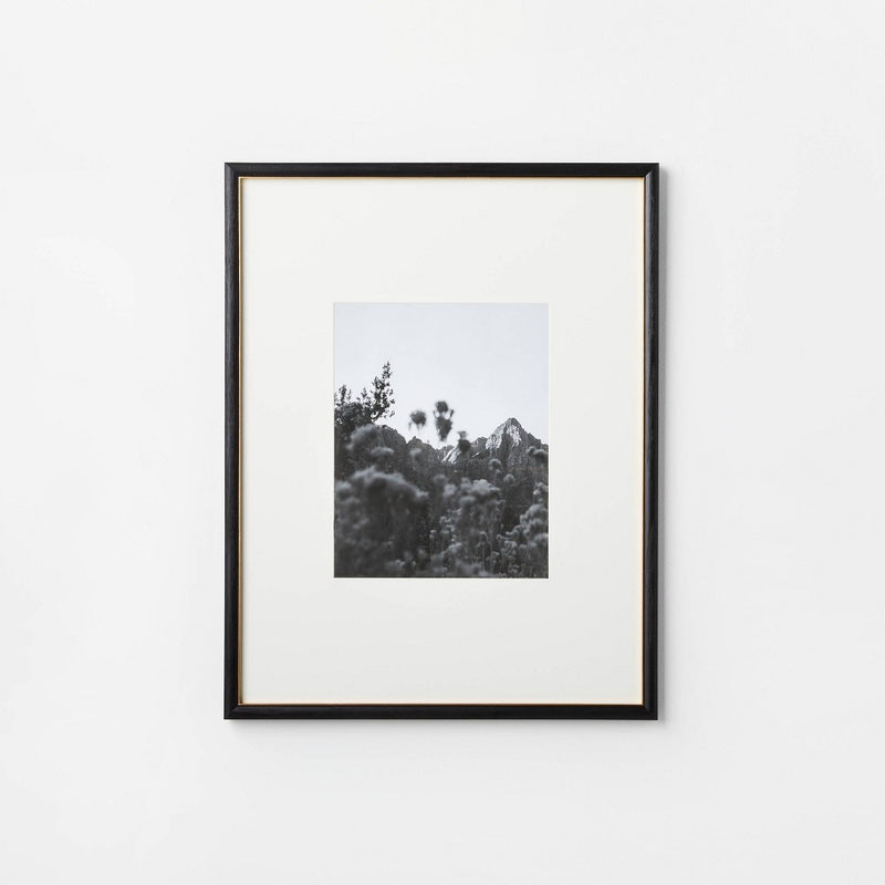 20" x 26" Matted to 11" x 14" Gallery Wall Frame Black/Brass - Threshold designed with Studio McGee (LOCAL PICKUP ONLY)