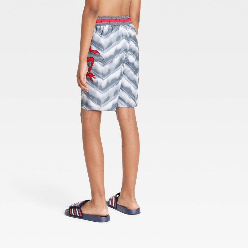 Boys' Spider-Man Swim Shorts - Gray M